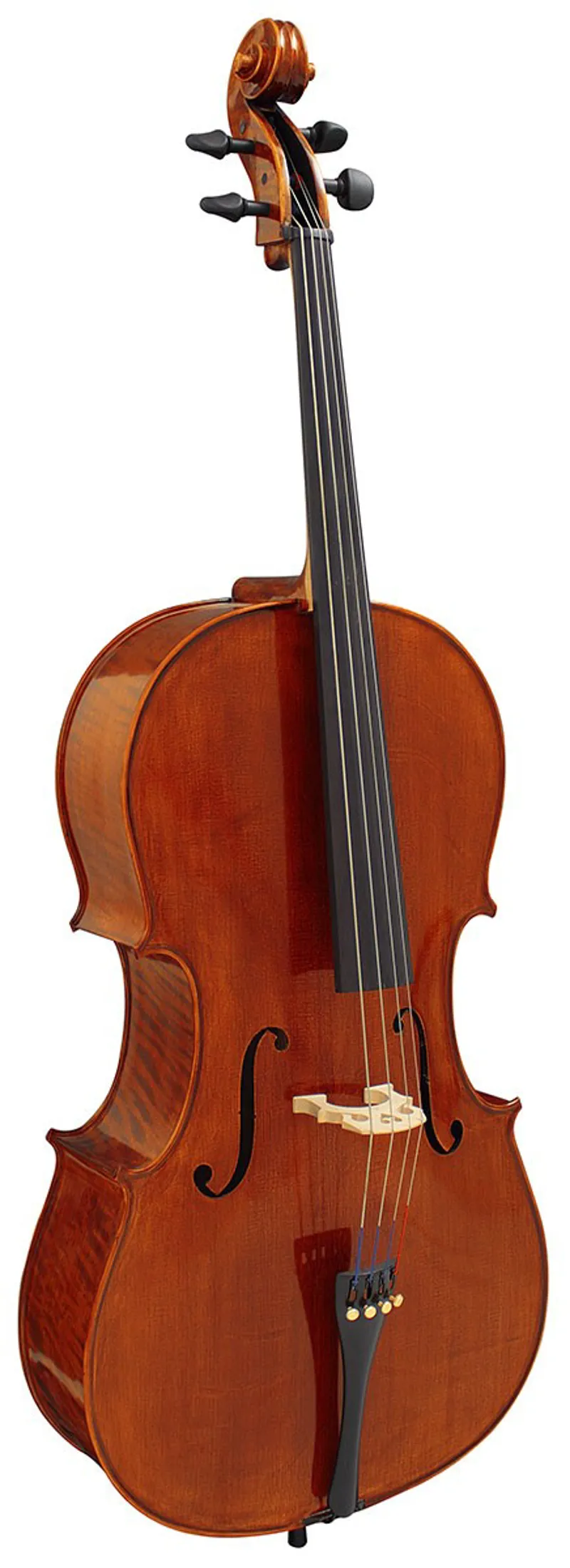 Hidersine Piacenza Cello Outfit - 4/4 Size 2 Hidersine Piacenza Cello Outfit - 4/4 Size - Image 2