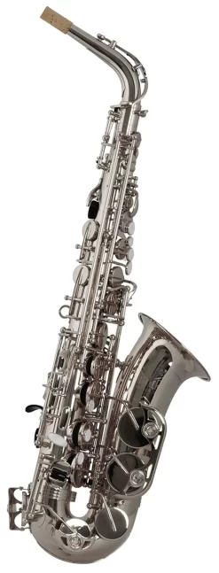 Trevor James Horn Classic II Alto Saxophone Outfit - Silver Plated