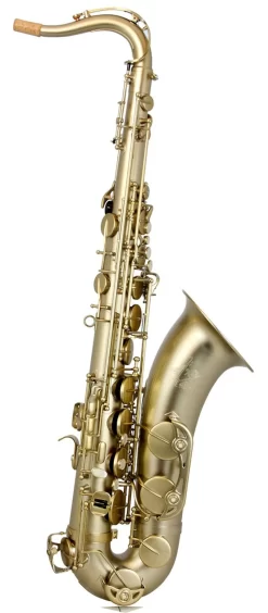 Trevor James Horn 88 Tenor Saxophone Outfit - Gold Frosted