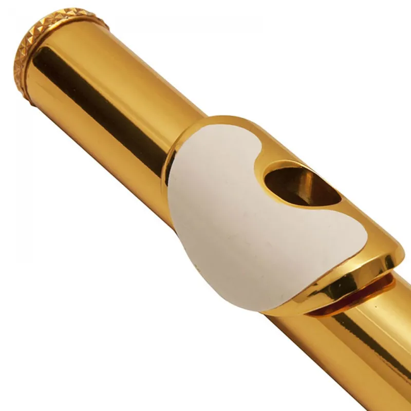 BG A18 Flute Lip Plate Protector - 3 Pack