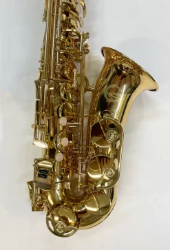 Artemis A1 Alto Sax Outfit - Gold Lacquer