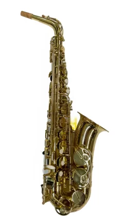 Secondhand Trevor James The Horn Classic Alto Saxophone