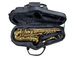 Hanson Series V Alto Saxophone Hand Rubbed Raw Brass -Musical Instruments Sale alto in case