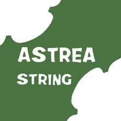 Astrea Violin G String - 4/4 Size