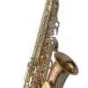 Yanagisawa AWO20U Alto Saxophone - Unlacquered Bronze