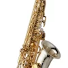 Yanagisawa AWO37 Alto Saxophone - Solid Silver