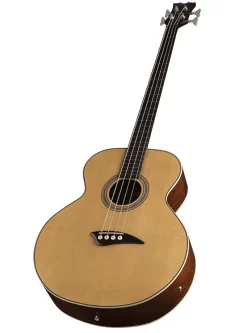 Dean Fretless Electro-Acoustic Bass Guitar