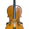 Secondhand Stentor Cello - 1/8 Size