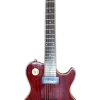 Greg Bennet Avion AV-5/WR Electric Guitar