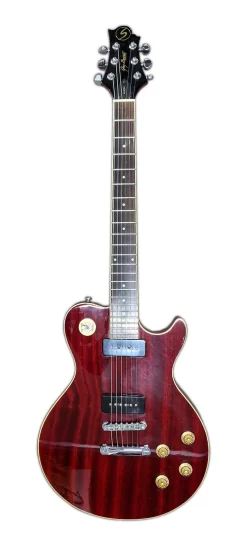 Greg Bennet Avion AV-5/WR Electric Guitar