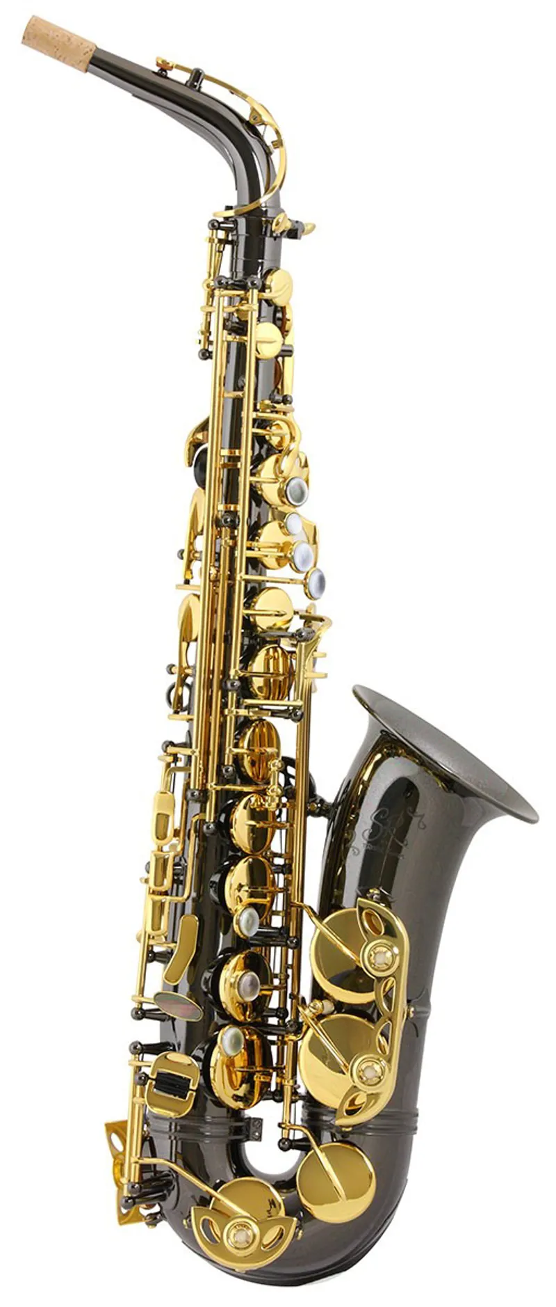 Trevor James SR Alto Sax Outfit - Black With Gold Lacquer Keys 1 Trevor James SR Alto Sax Outfit - Black With Gold Lacquer Keys