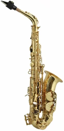 Trevor James SR Alto Sax Outfit - Gold Lacquer- USED
