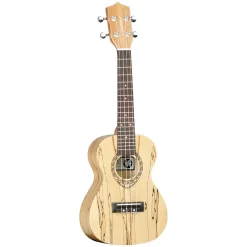 Tanglewood TWT 10 Tiare Series Concert Ukulele